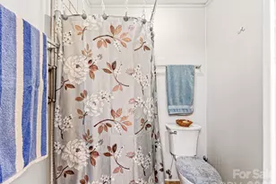 29 Tall Oaks Rd, Candler, NC 28715 - Photo 15