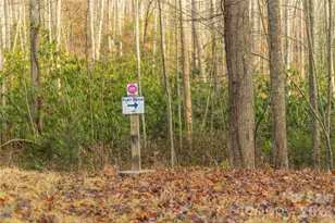 0000 Tsali Crossing N, Bryson City, NC 28713 - Photo 29