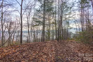 0000 Tsali Crossing N, Bryson City, NC 28713 - Photo 19