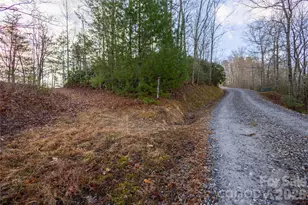 0000 Tsali Crossing N, Bryson City, NC 28713 - Photo 21