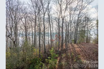 0000 Tsali Crossing N #25, Bryson City, NC 28713 - Photo 11