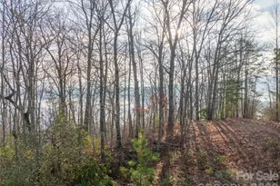 0000 Tsali Crossing N, Bryson City, NC 28713 - Photo 11