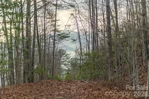 0000 Tsali Crossing N, Bryson City, NC 28713 - Photo 15