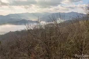 0000 Tsali Crossing N, Bryson City, NC 28713 - Photo 9