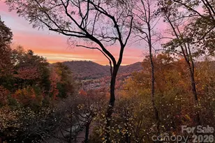 3302 Timber Trail, Asheville, NC 28804 - Photo 1