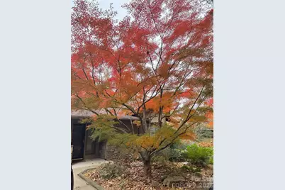 3302 Timber Trail, Asheville, NC 28804 - Photo 43
