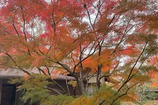 3302 Timber Trail, Asheville, NC 28804 - Photo 43