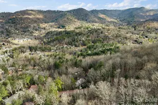 3302 Timber Trail, Asheville, NC 28804 - Photo 47