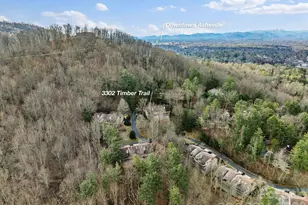 3302 Timber Trail, Asheville, NC 28804 - Photo 3