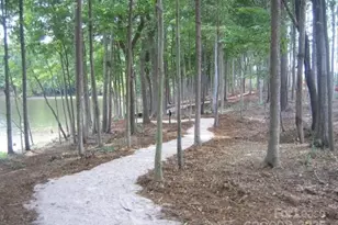 6147 Snowy Egret Ave, Charlotte, NC 28214 - Photo 43