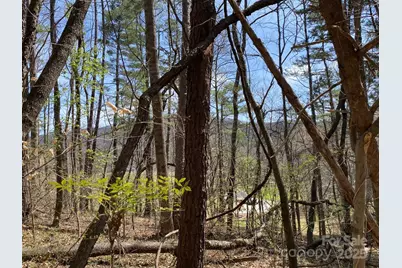 1 Pink Fox Cove Road, Weaverville, NC 28787 - Photo 9