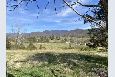 1 Pink Fox Cove Road, Weaverville, NC 28787 - Photo 3