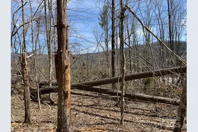 1 Pink Fox Cove Road, Weaverville, NC 28787 - Photo 7