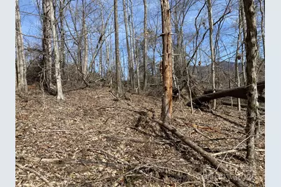 1 Pink Fox Cove Road, Weaverville, NC 28787 - Photo 13