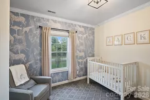 14208 Bald Cypress Ct, Huntersville, NC 28078 - Photo 21