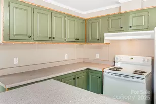 15 Cyrus Ln, Weaverville, NC 28787 - Photo 13