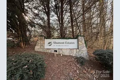 397 Shumont Estate, Lake Lure, NC 28746 - Photo 41