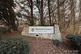 397 Shumont Estate, Lake Lure, NC 28746 - Photo 41