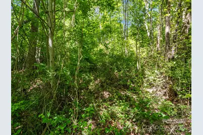 00000 Hamilton Acres Drive #4, 5, & 6, Hendersonville, NC 28791 - Photo 9