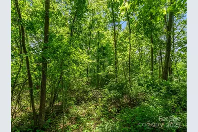 00000 Hamilton Acres Drive #4, 5, & 6, Hendersonville, NC 28791 - Photo 7