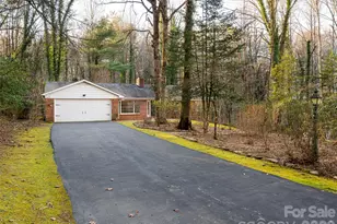 100 Wolf Shoals Dr, Hendersonville, NC 28739 - Photo 47