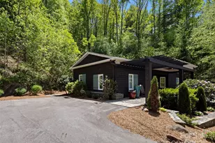 403 Baird Cove Rd, Asheville, NC 28804 - Photo 23