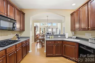 335 Garnet Ct, Fort Mill, SC 29708 - Photo 7