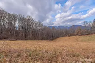 105 Riverview Dr, Canton, NC 28716 - Photo 1