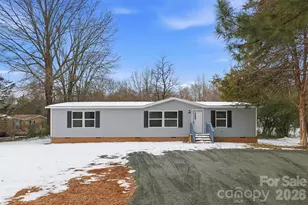 223 Brown Neal Rd, York, SC 29745 - Photo 3