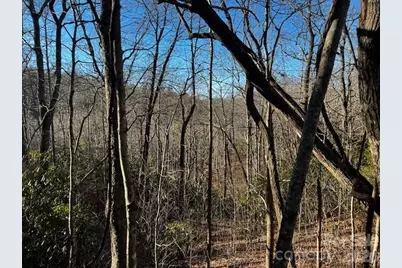 9999 Tessie Lane, Black Mountain, NC 28711 - Photo 1