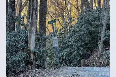 9999 Tessie Lane, Black Mountain, NC 28711 - Photo 3