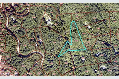 9999 Tessie Lane, Black Mountain, NC 28711 - Photo 5