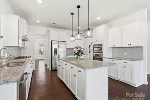 1005 Argentium Way, Waxhaw, NC 28173 - Photo 9