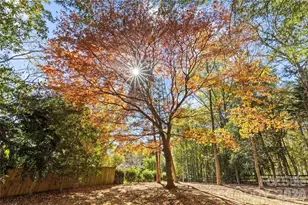 1112 Bellegrove Pl, Charlotte, NC 28270 - Photo 43