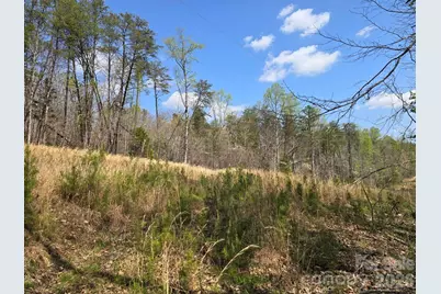 Lot 26 Grandview Drive #26, Rutherfordton, NC 28139 - Photo 3