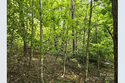 Lot 26 Grandview Drive #26, Rutherfordton, NC 28139 - Photo 3