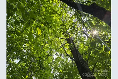 Lot 26 Grandview Drive #26, Rutherfordton, NC 28139 - Photo 7