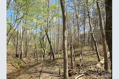 Lot 26 Grandview Drive #26, Rutherfordton, NC 28139 - Photo 13