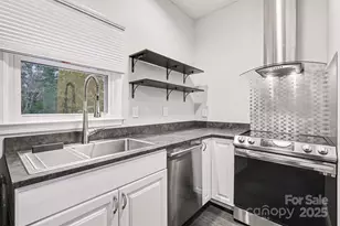 316 W 10th St, Charlotte, NC 28202 - Photo 11