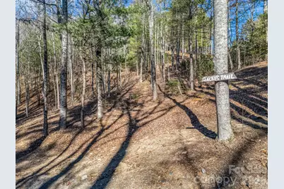 109 Justamere Lane, Hendersonville, NC 28739 - Photo 7