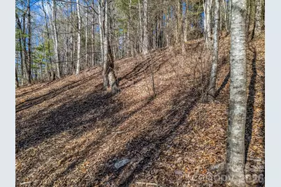 171 Justamere Lane, Hendersonville, NC 28739 - Photo 11