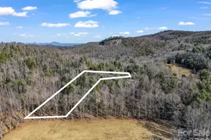 181 Justamere Ln, Hendersonville, NC 28739 - Photo 1