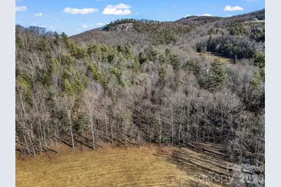 181 Justamere Lane, Hendersonville, NC 28739 - Photo 17