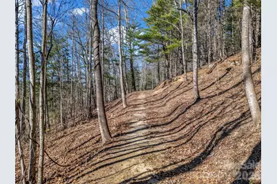 181 Justamere Lane, Hendersonville, NC 28739 - Photo 9