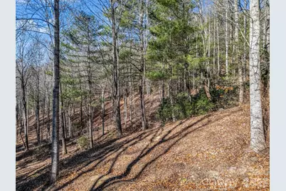 181 Justamere Lane, Hendersonville, NC 28739 - Photo 11