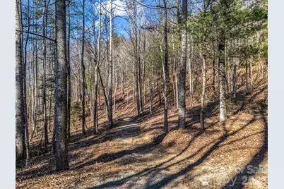 181 Justamere Lane, Hendersonville, NC 28739 - Photo 3