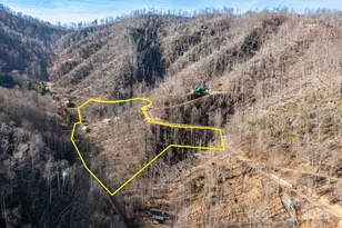 1010 & 1014 Melton Branch Rd, Bakersville, NC 28705 - Photo 41