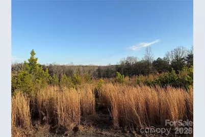 0 Brady Hampton Drive, Rutherfordton, NC 28139 - Photo 25