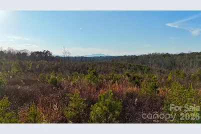 0 Brady Hampton Drive, Rutherfordton, NC 28139 - Photo 13