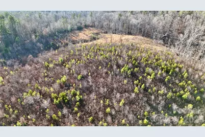 0 Brady Hampton Drive, Rutherfordton, NC 28139 - Photo 19